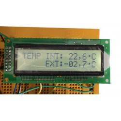 In-out thermometer