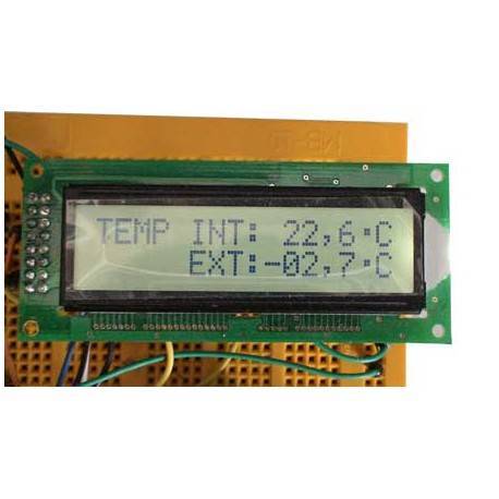 In-out thermometer